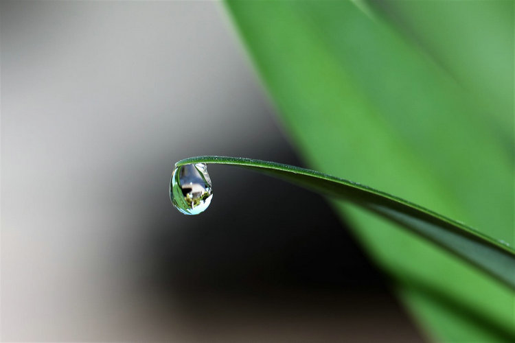 多參數(shù)水質(zhì)檢測(cè)儀 多參數(shù)水質(zhì)檢測(cè)儀